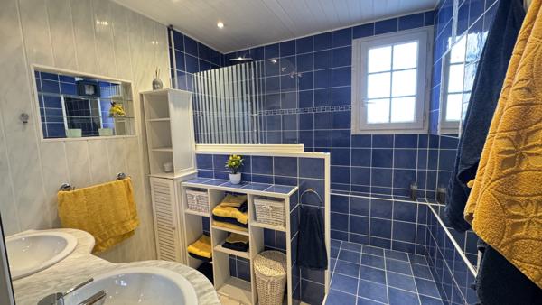 Saint-Étienne (42100) Grande maison de 240m2 sur 1100m2 avec piscine