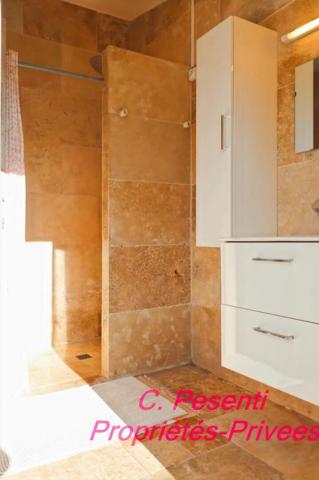 Maison Saint Thibault Des Vignes 2 pièce(s) 60 m2 + chalet 24 m²