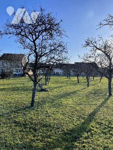 Terrain à bâtir - VIGNEULLES LES HATTONCHATEL