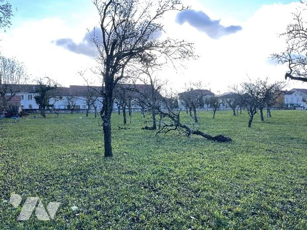 Terrain à bâtir - VIGNEULLES LES HATTONCHATEL