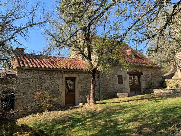 Propriété en pierre - 2 maisons indépendantes, piscine, dépendances, terrain de près d'1 Hectare - Catus