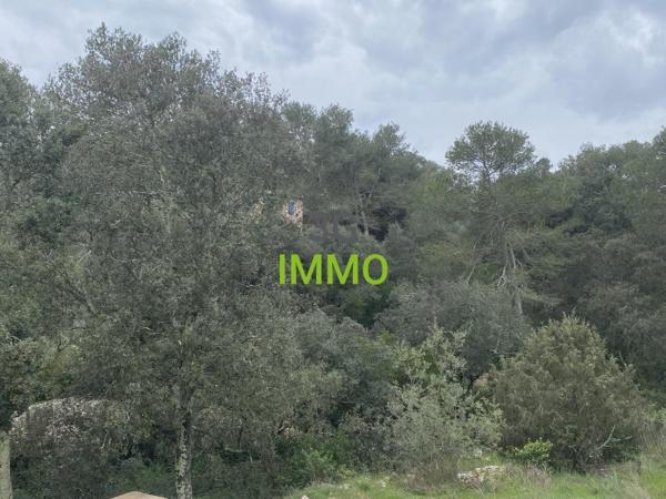 Vente / Maison contemporaine à Nîmes (30000)