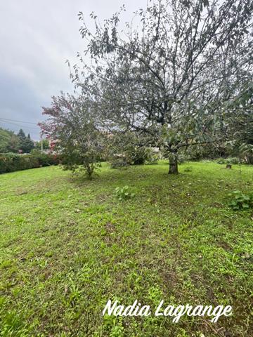 CHARMANTE MAISON EN PIERRE AVEC DEPENDANCES