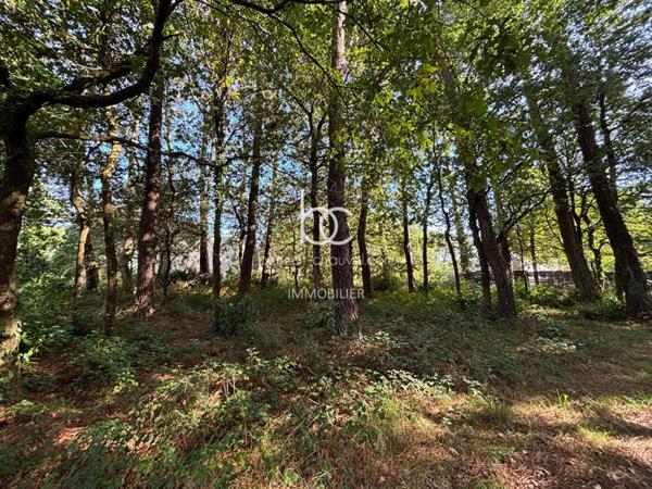 VANNES Terrain 1317 m²