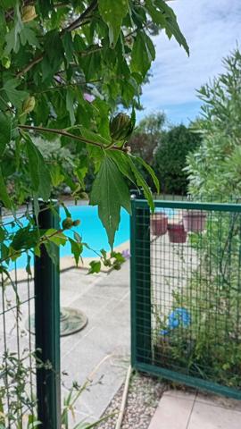 Charmante maison 3 pièces avec piscine et un studio  proche du centre-ville de Saujon.