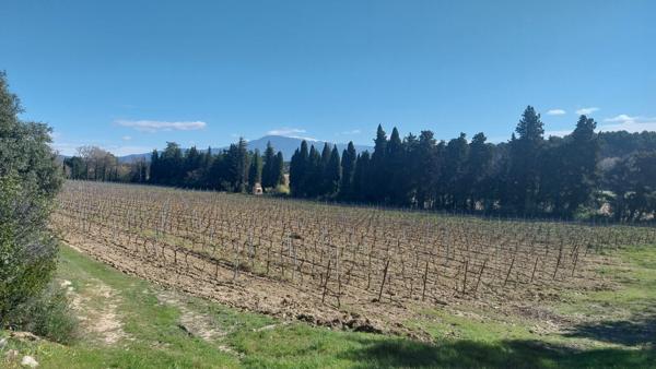 Loriol-du-Comtat (84870) DOMAINE D’EXCEPTION AU CŒUR DU COMTAT VENAISSIN – Vue panoramique Mont Ventoux, chevaux, vignes..