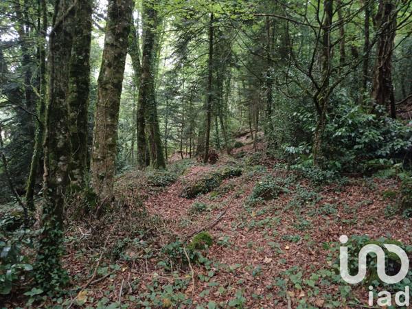 Maison à vendre 8 pièces 180 m² Guern