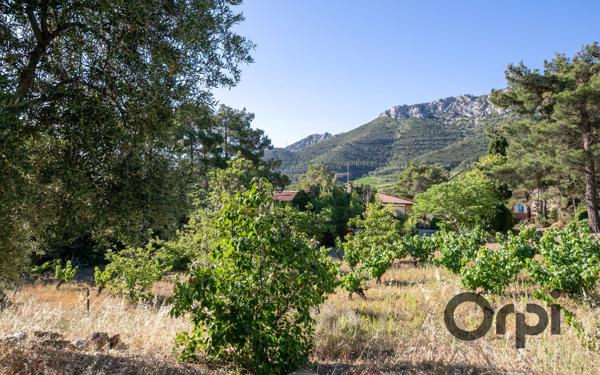 Maison à vendre    3 pièces •  Maury