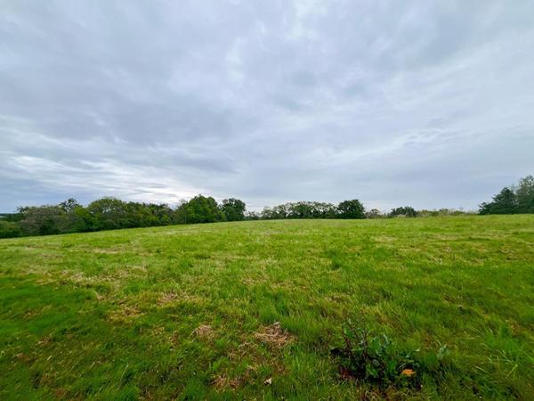 Achat terrain Horsarrieu - 15990 m² - 156 000 €