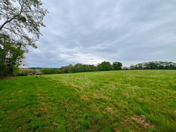 Achat terrain Horsarrieu - 15990 m² - 156 000 €