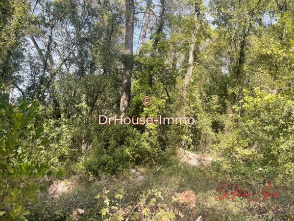 Terrain à vendre de 4 300 m²
