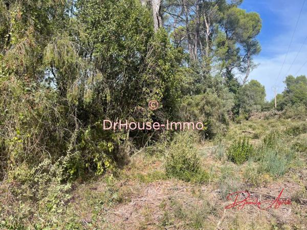 Terrain à vendre de 4 300 m²