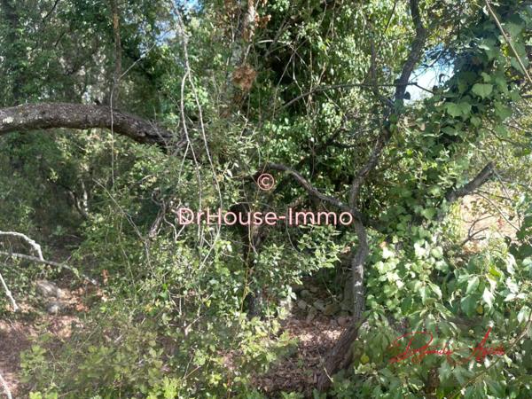 Terrain à vendre de 4 300 m²