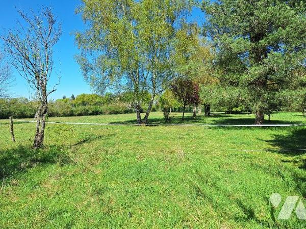 Maison 132m² aménagée sur 2ha, Aubigny-Sur-Nère