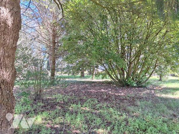 Maison 132m² aménagée sur 2ha, Aubigny-Sur-Nère
