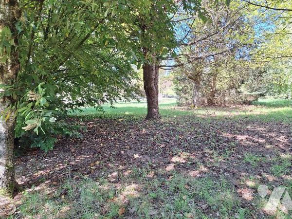 Maison 132m² aménagée sur 2ha, Aubigny-Sur-Nère