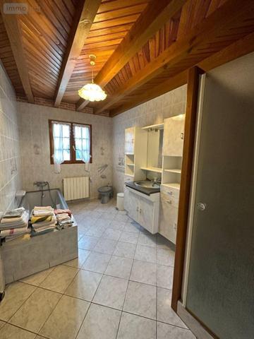 Maison à vendre à Selles-sur-Cher dans le Loir-et-Cher (41130), ref : 12101/1248