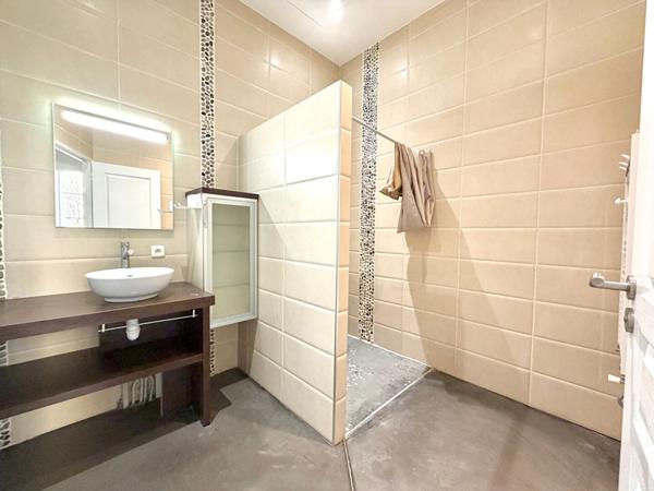 Appartement Saint Etienne 4 pièce(s) 166 m2