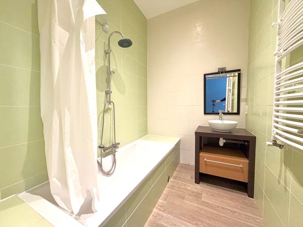 Appartement Saint Etienne 4 pièce(s) 166 m2