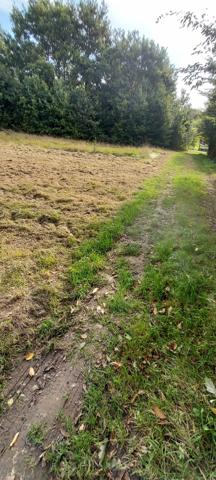 Terrain dans Gespunsart