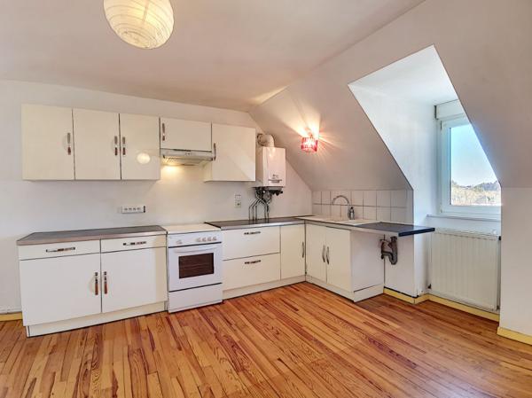 EPINAL - Chemin des Princes - Appartement duplex - 1 chambre - 1 bureau