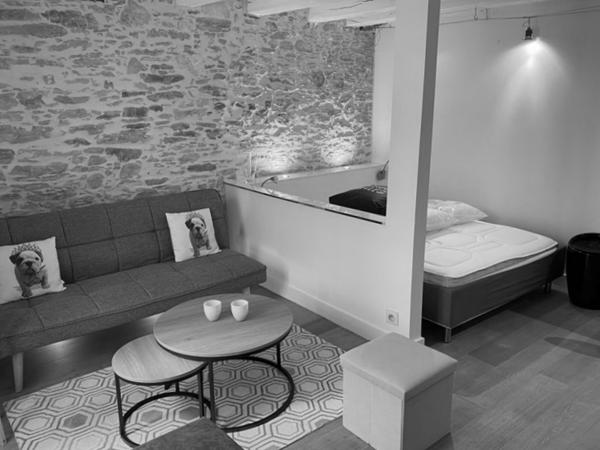 Château – Studio de charme 27 m² avec locataire en place – 136.500 € fai