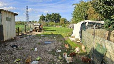 Hangar à vendre à Marolles dans la Marne (51300), ref : 51081/926