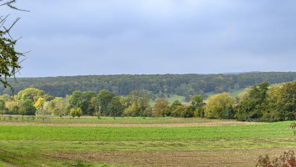Maison Rénovée150 m2 6 P. Jardin 9 ares au CALME, Nature et avec Vues