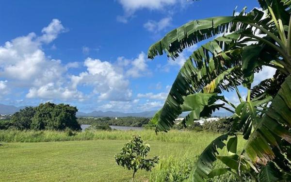 Terrain à vendre    Baie-Mahault