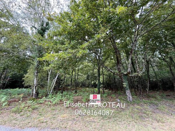 Terrain 2950 m2  zone N Sanguinet 40460