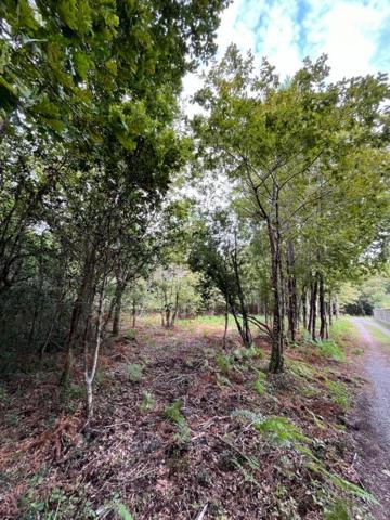 Terrain 2950 m2  zone N Sanguinet 40460