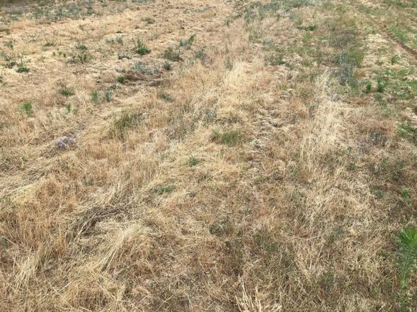 Terrain à Batir à vendre à Beaufay dans la Sarthe (72110), ref : 079/1878