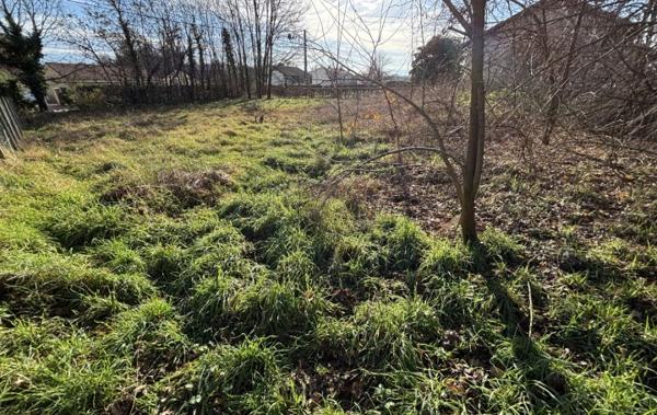 Vente Terrain Constructible Reyssouze   