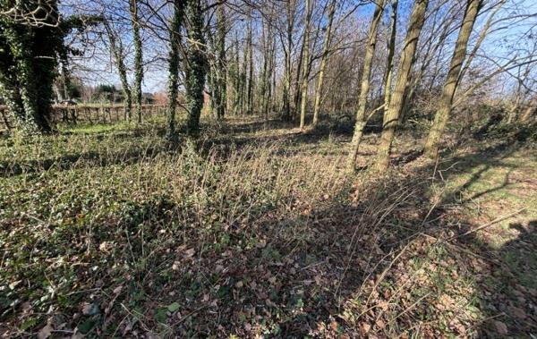 Vente Terrain Constructible Reyssouze   