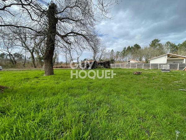 Terrain Parentis En Born 2951 m²