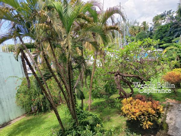 À Louer – Appartement Meublé de 44 m² | Pointe du Bout - LES TROIS ILETS (972)