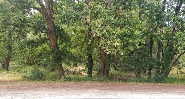 Terrain Soulac-sur-Mer 1242 m²