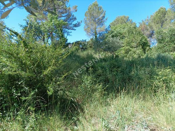 Terrain constructible 1323 m², PC 213 m², piscine