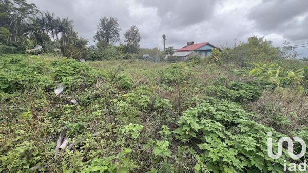 Terrain à vendre 622 m² Le Tampon
