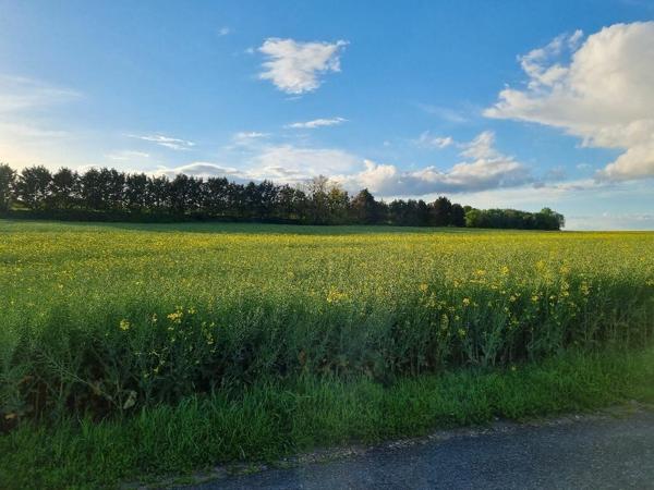 Terrain à vendre    Château-Landon