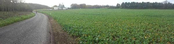 Terrain à vendre    Château-Landon