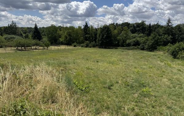 Vente Terrain A batir Drevant   