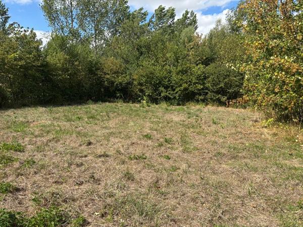 Terrain Etrelles Sur Aube 1345 m2