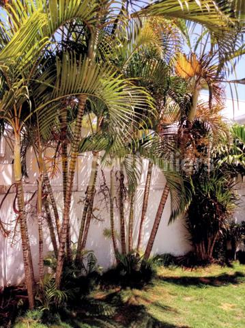 Vente Appartement94,1 m² - 4 Pièces - 97190 (97190)