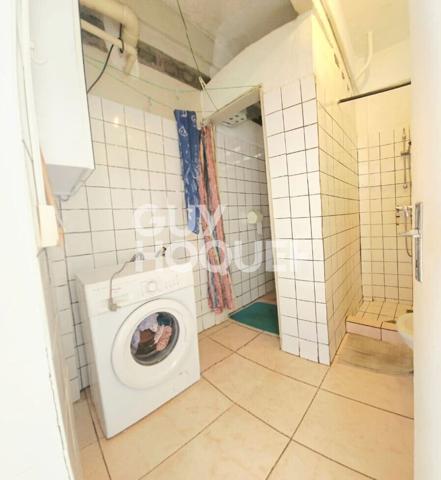 Maison de pays + appartements A VENDRE