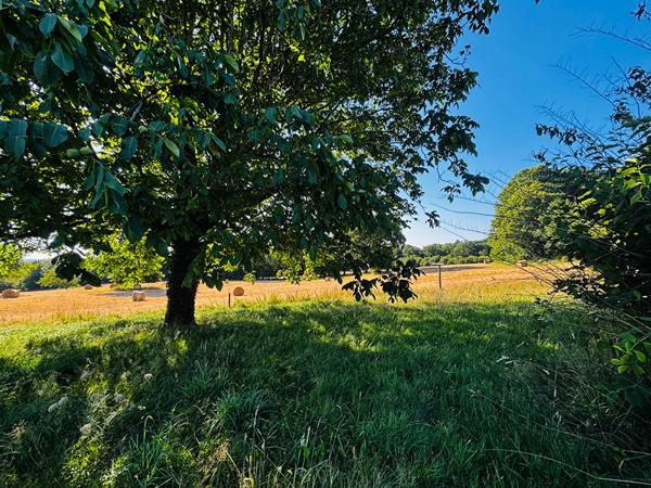 À vendre Chamboulive propriété en pierre, à proximité de Seilhac.