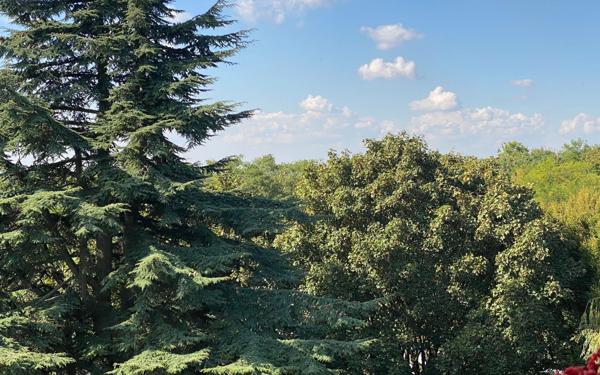 Appartement à vendre    3 pièces • 63,60 m2 Chennevières-sur-Marne