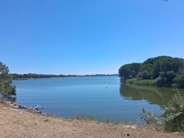 Appartement à vendre à La Grande-Motte (34280) - Hérault