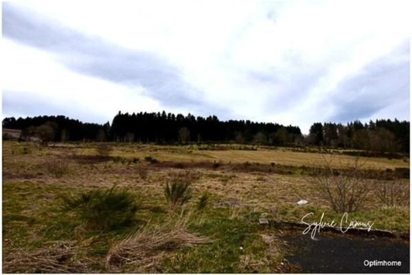 Terrain à vendre de 1 018,00 m² DUNIERES (43)