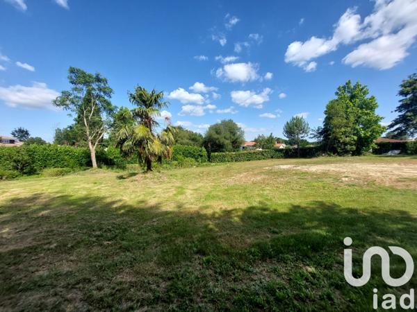 Terrain à vendre 4 035 m² Saugnac-et-Cambran